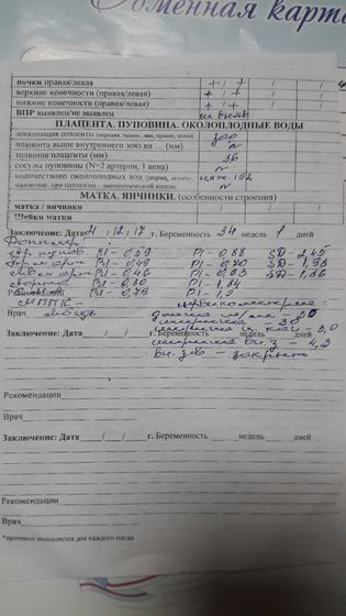 Плановое УЗИ / 34 недели