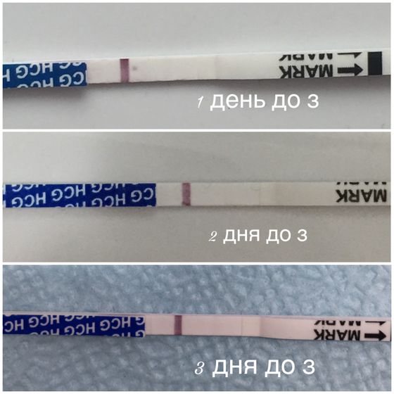 С новым циклом меня