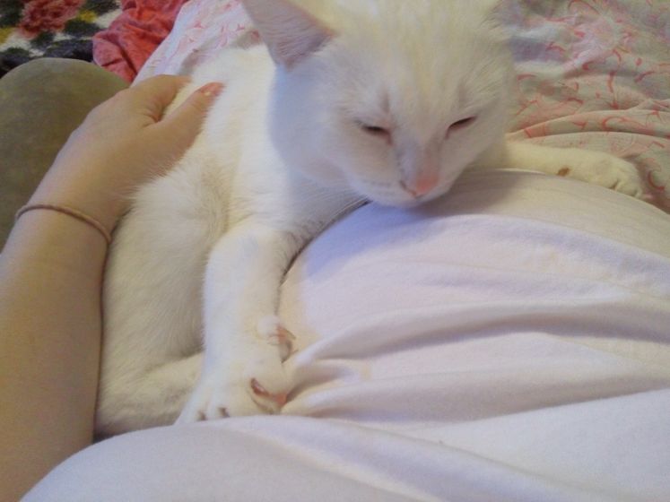 Котя