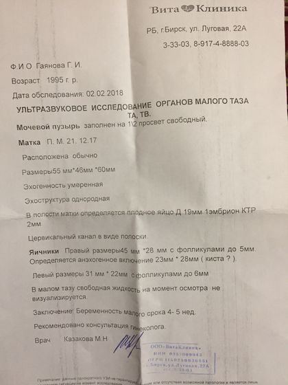 4 недели ЖТ и фолликулы