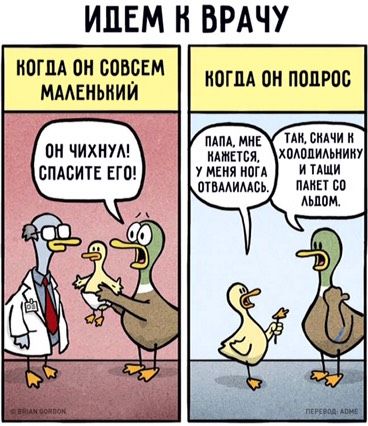 Он чихнул -спасите его!😃