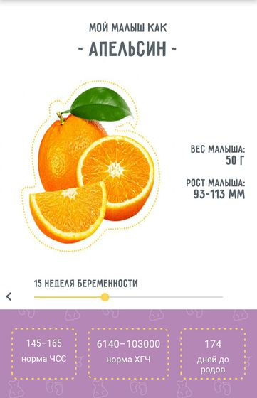 15 недель ?