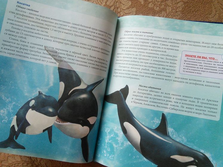 Наши новые энциклопедии