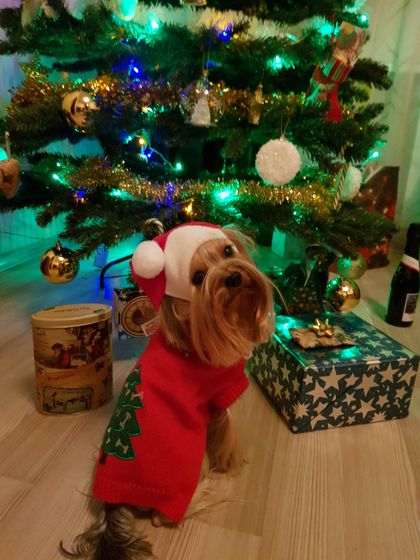 С наступающим!!! 2018
