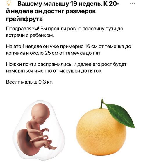 Середина