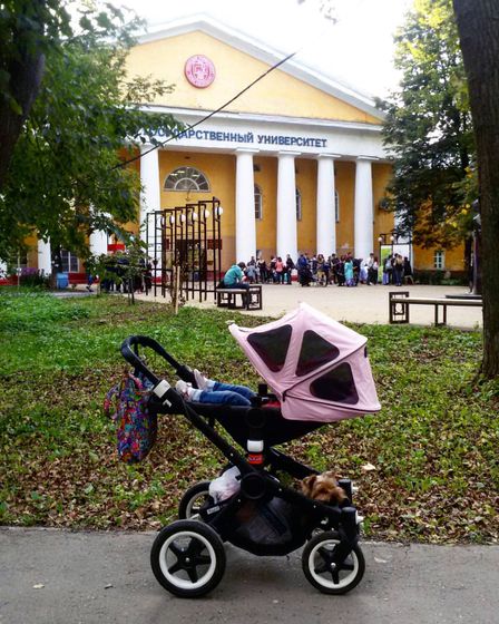ищу коляску, которую не жалко. нужен совет!