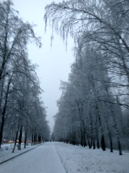 Новогоднего настроения в ленту