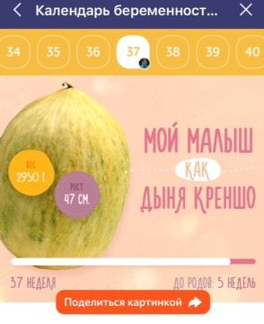 Наша 37-я.