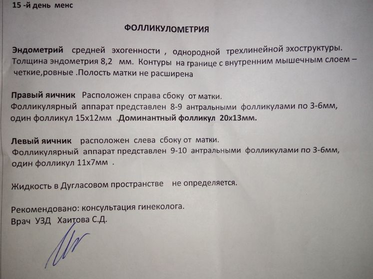 Фолликулометрия (фото)