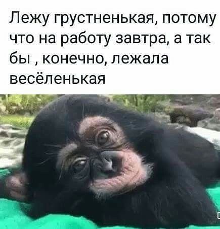 😂