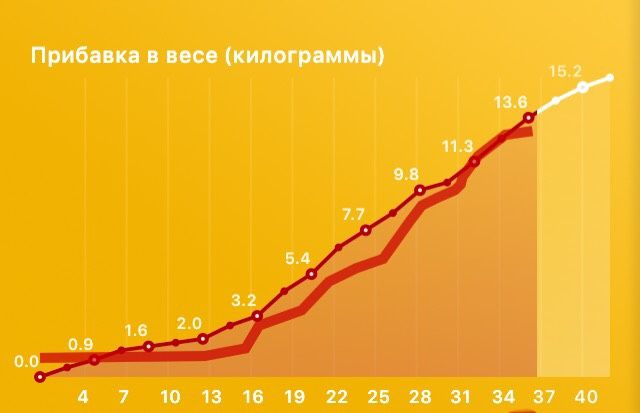 Вес на 37 неделе