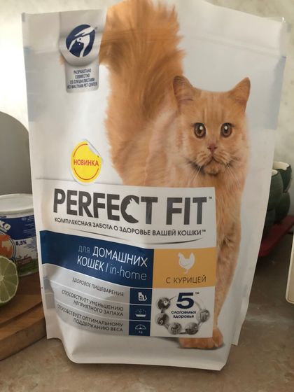 Кошачий доток