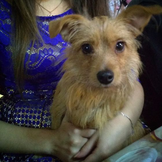 Юла моя любимая, ну и немного про нас))