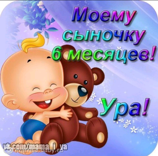ПОЛГОДИКА