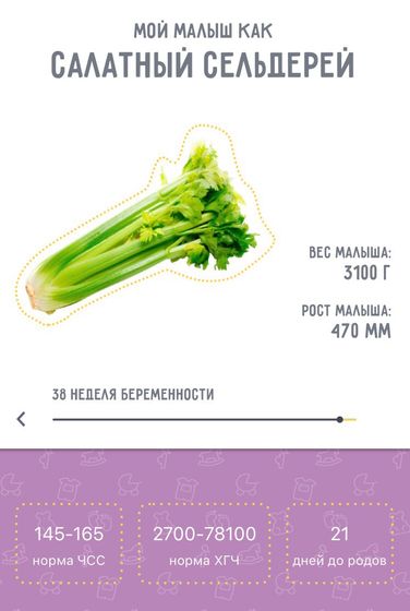 37 недель