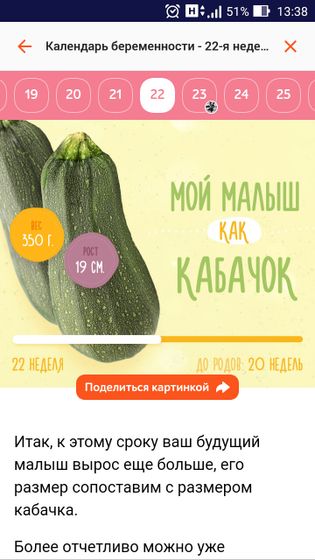 Кабачок?