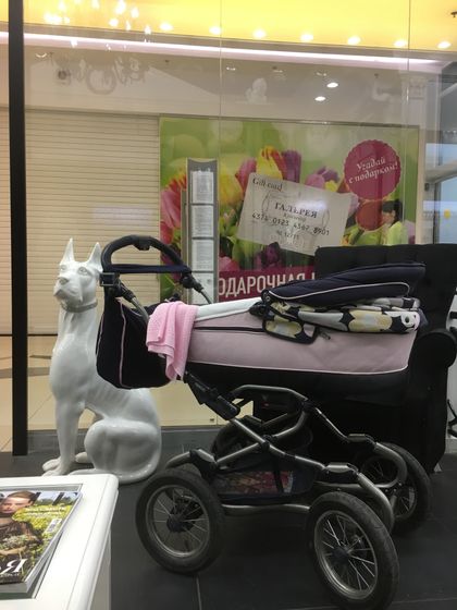 Коляска 3 в 1 кому?