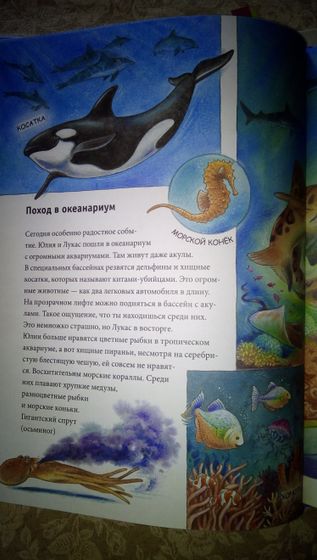 Марафон 