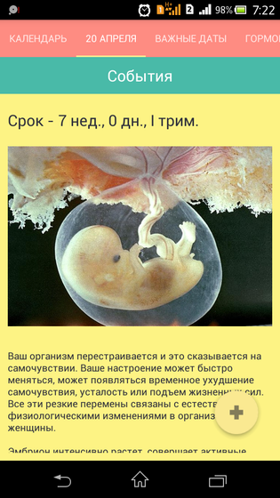 7 недель