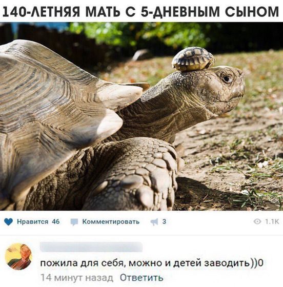 Вопрос: сколько у вас