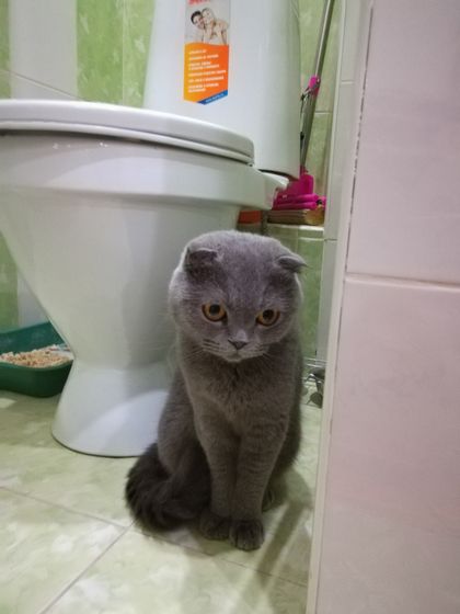 Забрали мы все таки