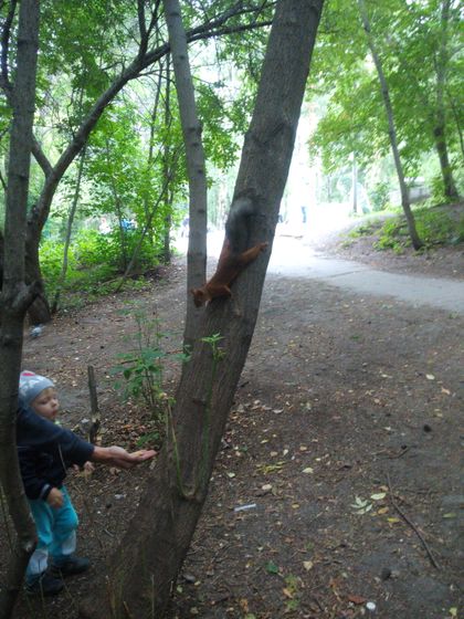 Прогулка в парк Маяковского!