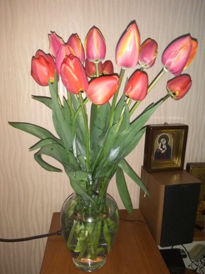 Даже в такую погоду
