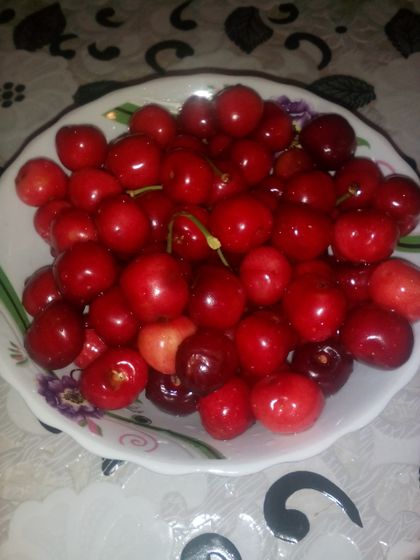 Наконец-то дождалась