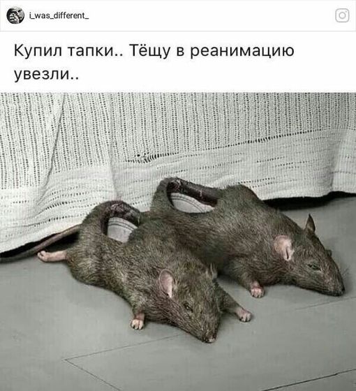 Пусть и не все такой юмор понимают?????улыбнитесь девушки☺️???