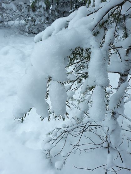 День третий в снежной сказке ❄❄❄