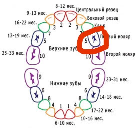 5 месяцев ожидания???
