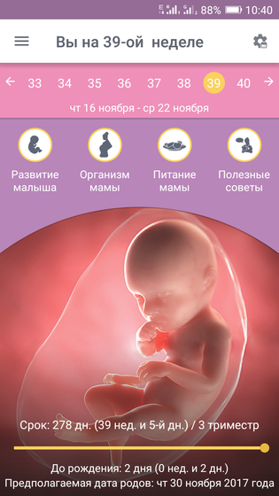 Сдаюсь в роддом.