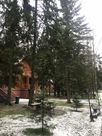 Праздники и 31ая неделя беременности