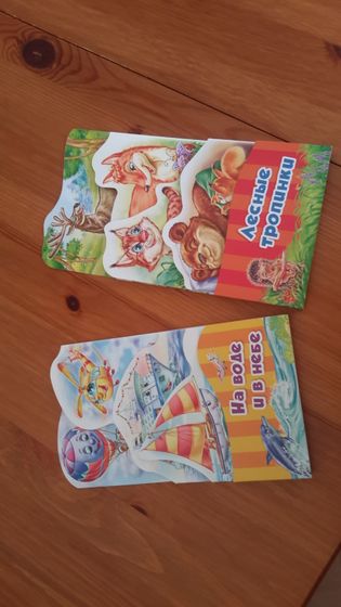 похвастушки книжки 😄