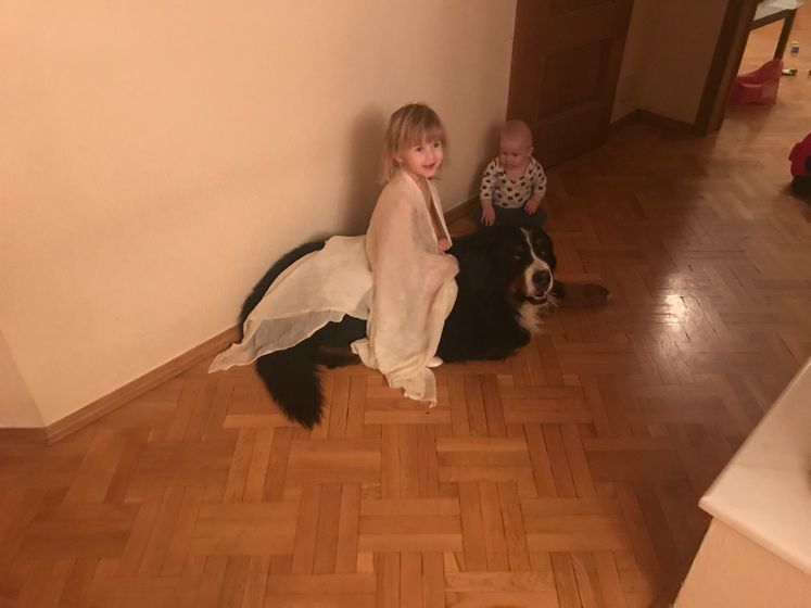7 месяцев и небольшой отчет