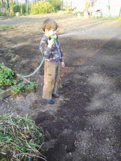 В продолжение к пред.посту.Про дачу