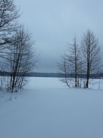 День четвертый в снежной сказке ❄❄❄