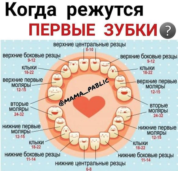 Когда режутся зубки ?