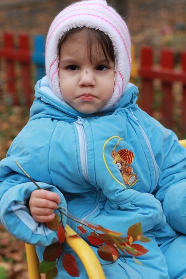 двойной день аиста