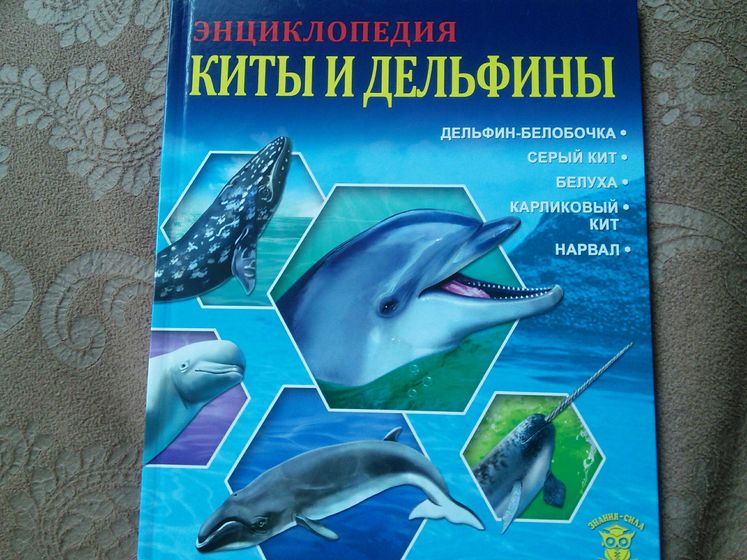 Наши новые энциклопедии