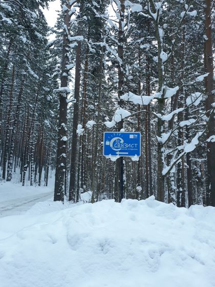 День четвертый в снежной сказке ❄❄❄