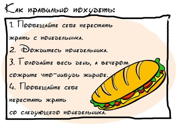 Своя система, день 31