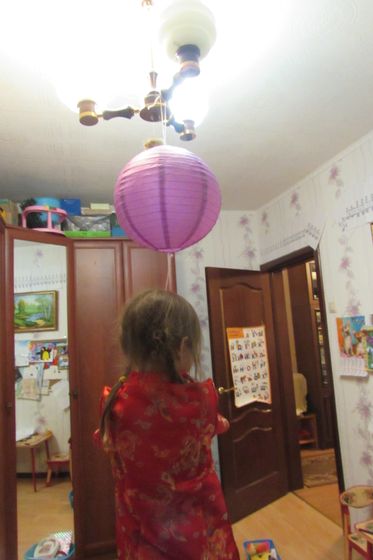 Новый год в гостях у китайской собаки