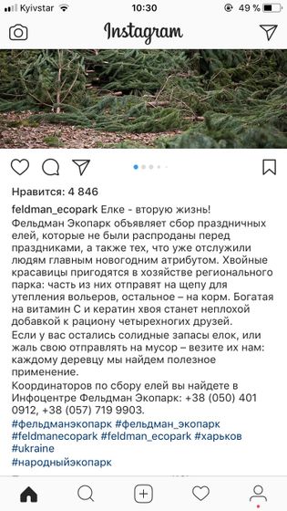 Елки. Харьков