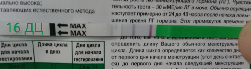Тема овуляции