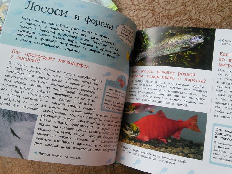 Наши новые энциклопедии