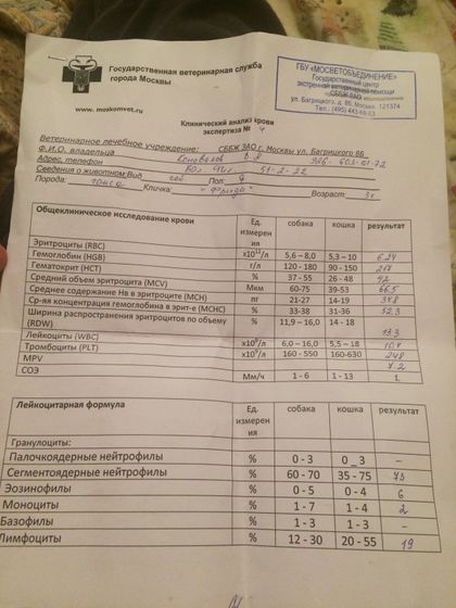 Ветеринар откликнись пожалуйста!