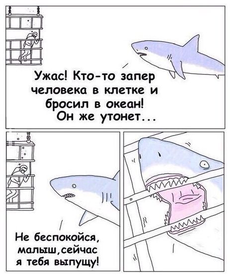 Немного позитива))