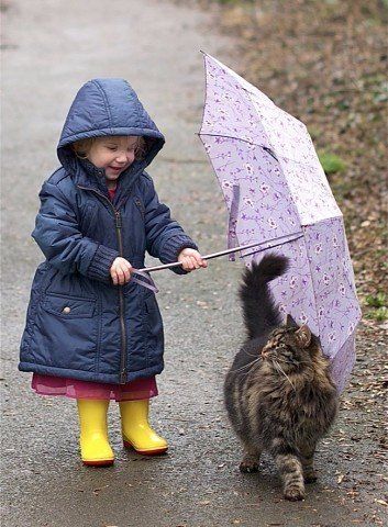Человеку нужен кот.