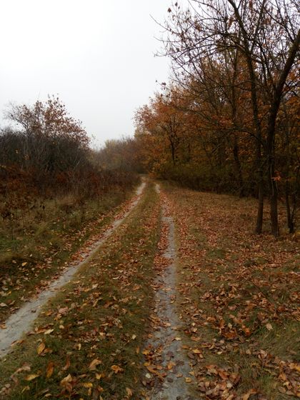 Беременяшек должна окружать красота...